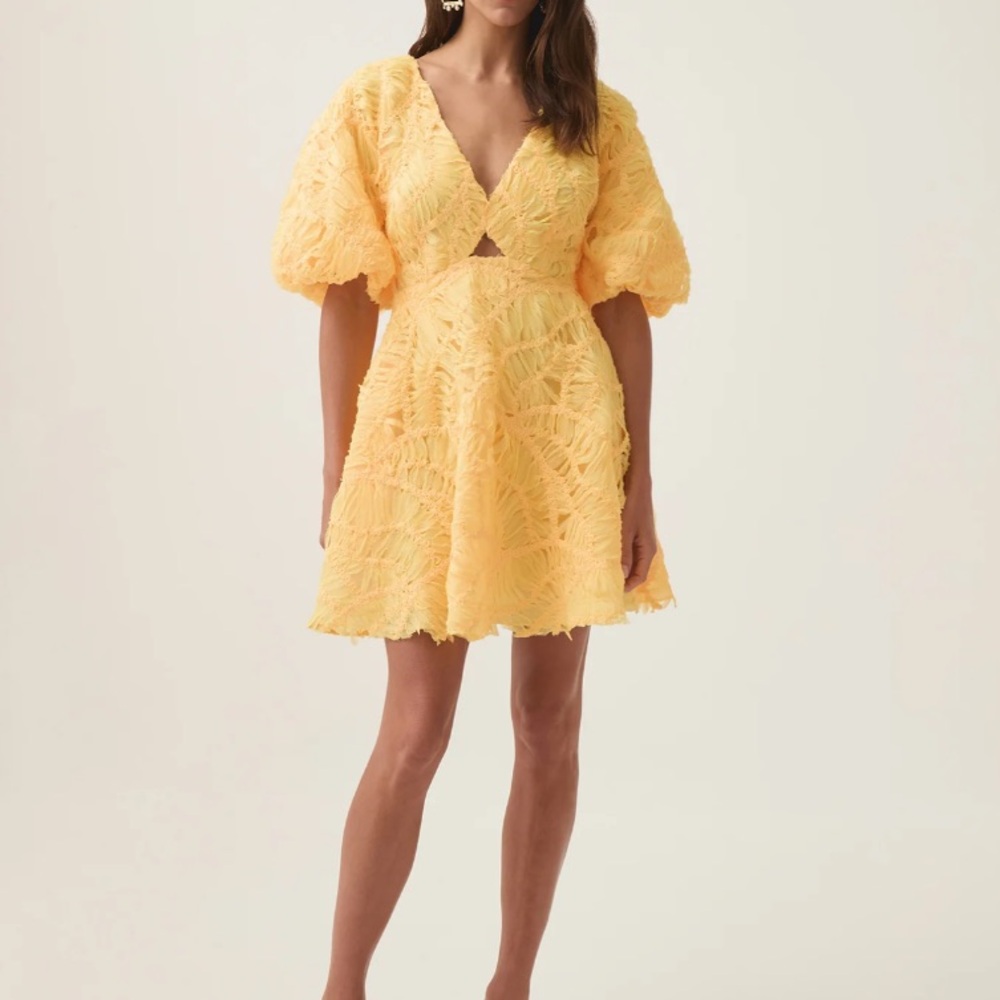 🖤NWT🔺 Aje. Brand FLORENTIAL Mini Swing Dress - Picture 1 of 17